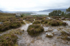 Die Highlands