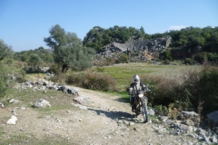 Pinara
