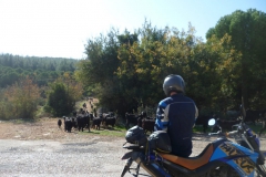 Der Rückweg nach Kas