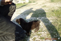 Xanthos