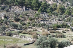 Pinara