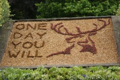 One Day You Will