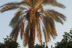 In Antalya