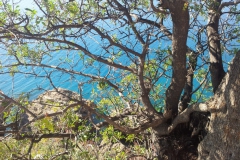 In Antalya