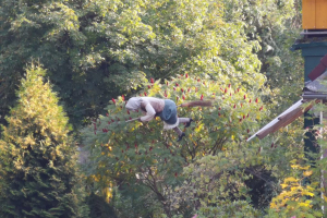 15.09.2019