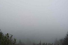 braunlage-19-0012