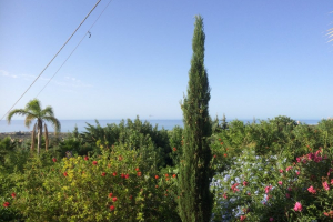 17.09.2017