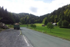 Krnica