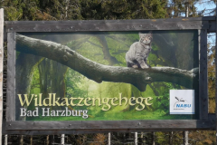 braunlage-19-0119