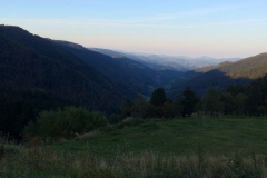 Auf der Rückreise