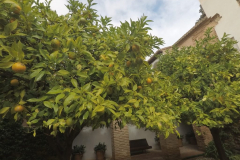 andalusien-18-0031