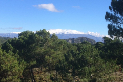 andalusien-18-0039
