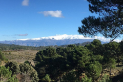 andalusien-18-0041