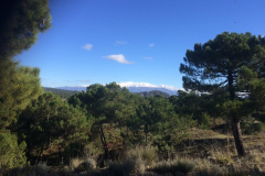 andalusien-18-0062