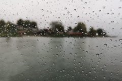 Regen