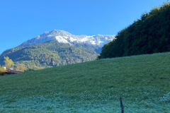 Der erste Schnee