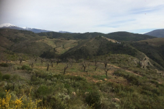 andalusien-18-0149